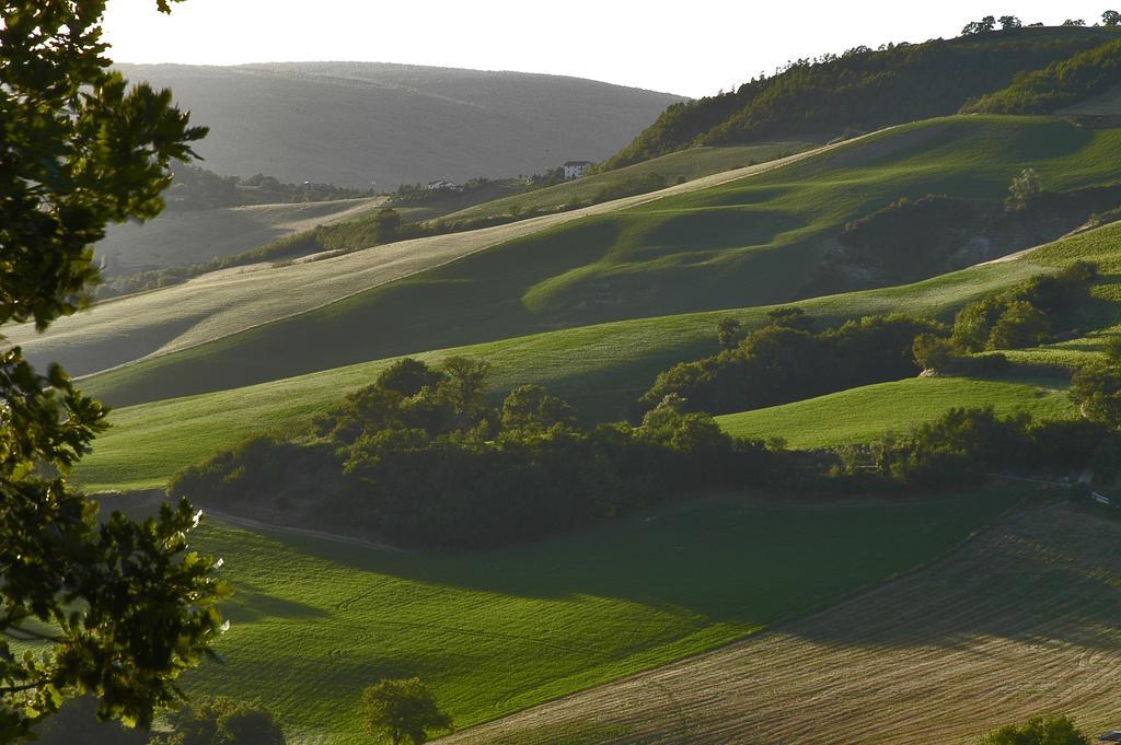 B&B Antegiano Belforte del Chienti Экстерьер фото