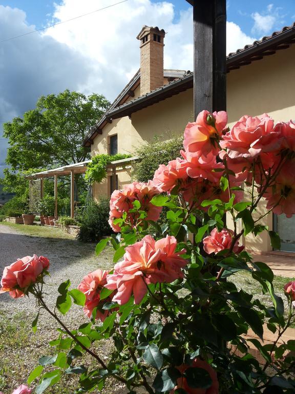 B&B Antegiano Belforte del Chienti Экстерьер фото